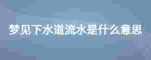 夢見下水道流水是什么意思