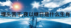 埋頭苦干,夜以繼日是什么生肖