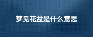 夢見花盆是什么意思