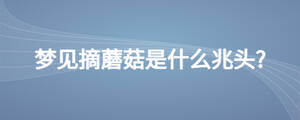 夢(mèng)見(jiàn)摘蘑菇是什么兆頭?