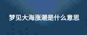 夢(mèng)見大海漲潮是什么意思
