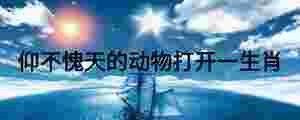 仰不愧天的動(dòng)物打開一生肖