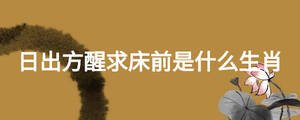 日出方醒求床前是什么生肖