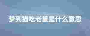 夢到貓吃老鼠是什么意思