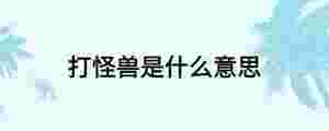 打怪獸是什么意思