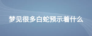 夢見很多白蛇預示著什么