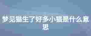 夢見貓生了好多小貓是什么意思