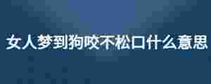 女人夢到狗咬不松口什么意思