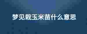 夢(mèng)見栽玉米苗什么意思