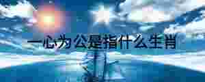 一心為公是指什么生肖