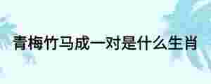 青梅竹馬成一對(duì)是什么生肖