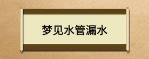夢見水管漏水