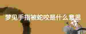 夢見手指被蛇咬是什么意思
