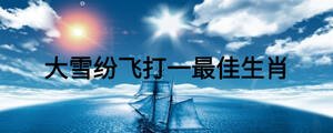 大雪紛飛打一最佳生肖