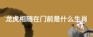 龍虎相隨在門前是什么生肖