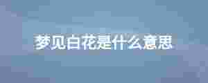 夢見白花是什么意思