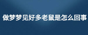 做夢夢見好多老鼠是怎么回事