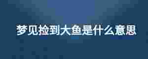 夢見撿到大魚是什么意思