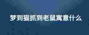 夢到貓抓到老鼠寓意什么