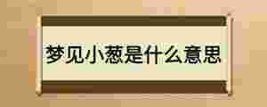 夢見小蔥是什么意思