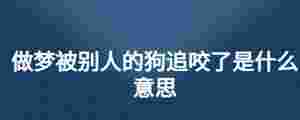 做夢被別人的狗追咬了是什么意思