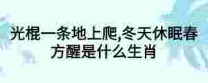 光棍一條地上爬,冬天休眠春方醒是什么生肖
