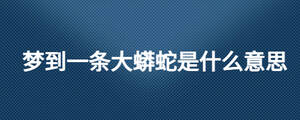 夢到一條大蟒蛇是什么意思