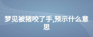 夢見被豬咬了手,預示什么意思