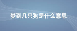夢到幾只狗是什么意思