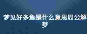 夢見好多魚是什么意思周公解夢