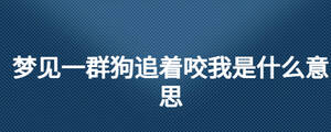 夢見一群狗追著咬我是什么意思