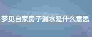 夢見自家房子漏水是什么意思