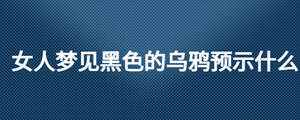 女人夢見黑色的烏鴉預示什么