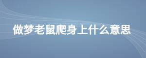 做夢老鼠爬身上什么意思