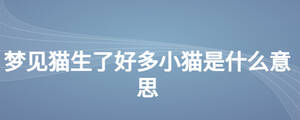 夢見貓生了好多小貓是什么意思
