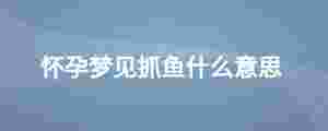 懷孕夢見抓魚什么意思