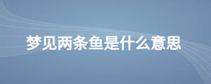 夢(mèng)見兩條魚是什么意思