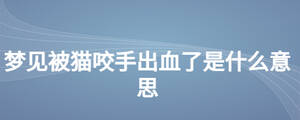 夢(mèng)見被貓咬手出血了是什么意思