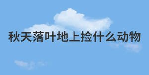 簡約藍(lán)色背景 (13).jpg