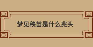 自創 (67).jpg