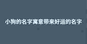 深色背景 (32).jpg