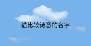 簡約藍色背景 (69).jpg