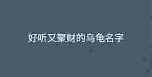 深色背景 - 2022-08-16T110250.955.jpg