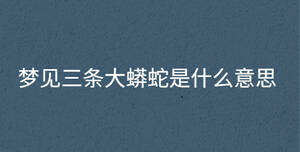 深色背景 - 2022-10-10T170407.419.jpg
