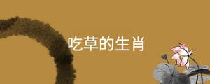 起名 - 2022-10-12T135439.895.jpg