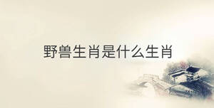 傳統 - 2022-10-24T112852.433.jpg