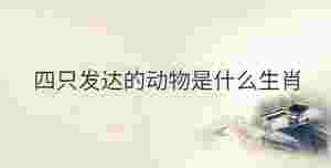 傳統 - 2022-10-28T132244.880.jpg