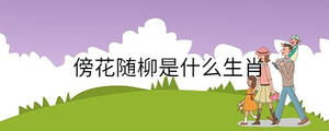 傍花隨柳是什么生肖
