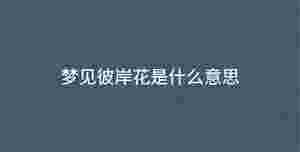 深色背景 - 2022-11-22T114733.218.jpg