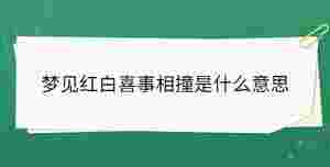 開學季 - 2022-12-08T160639.938.jpg